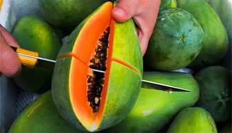 海南热带水果食谱：品尝南国的美味