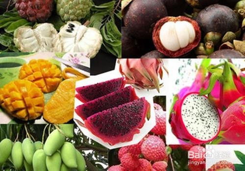 海南热带特色水果排名
