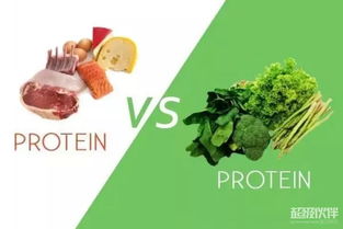 动物性蛋白和植物性蛋白各有优缺点